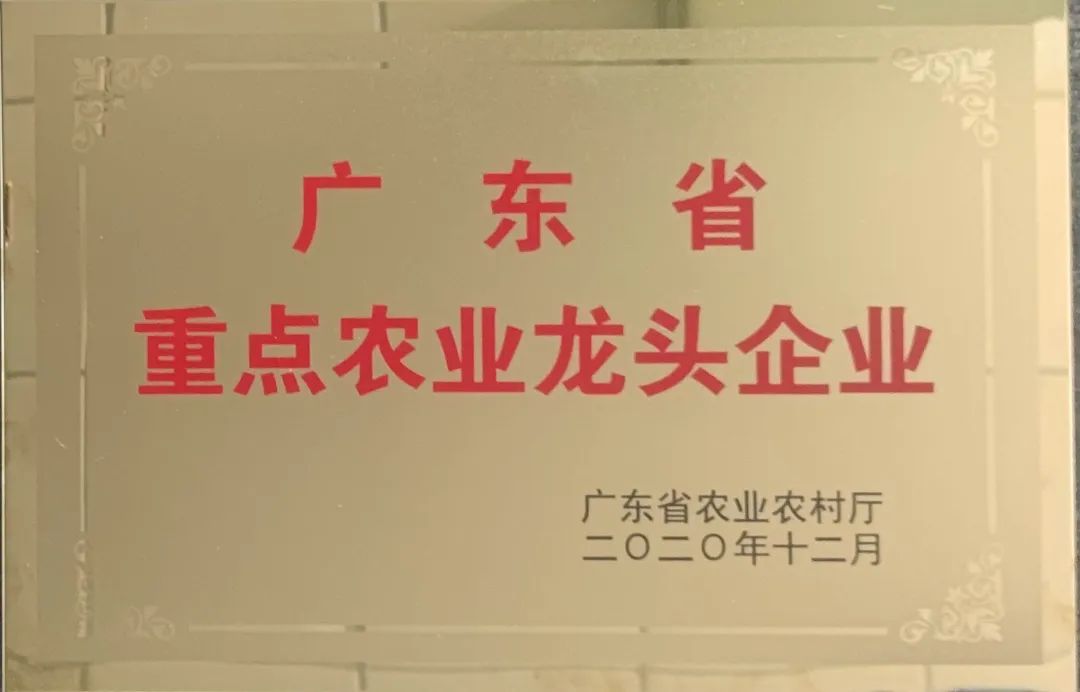 省龍稱號(hào)